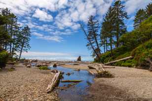 Ruby Beach-7288.jpg